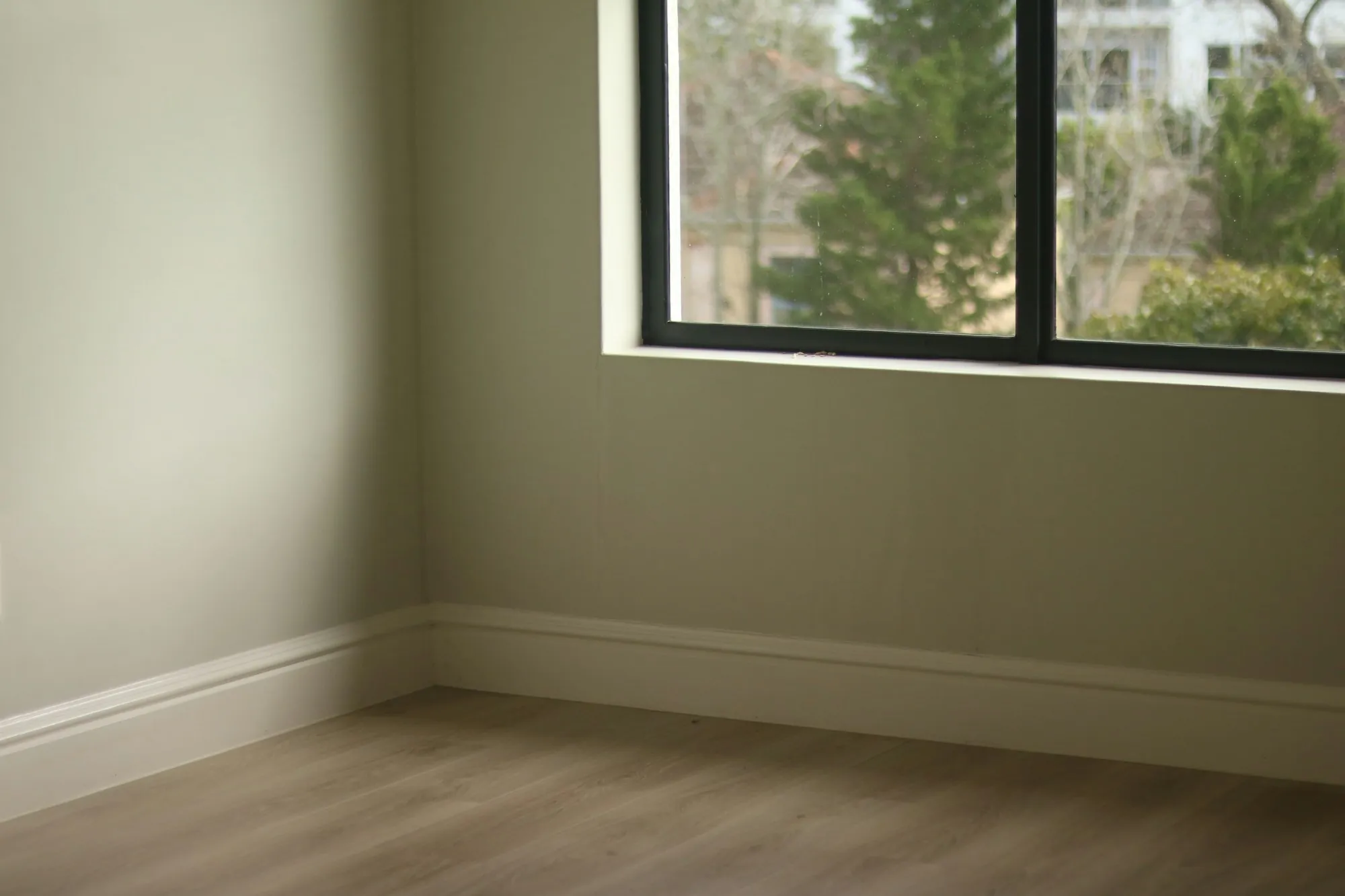 Room with a fresh coat of paint